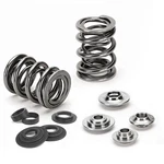 Supertech SPRK-H1021D-ST Fits Honda F20/K20 Dual Valve Spring Kit New. Price: $516.99.