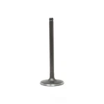 Engine Intake Valve-vin: L, Ohv, 12 Valves Dnj IV320 New. Price: $18.00.