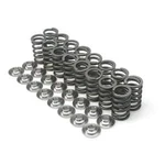 Brian Crower BC0220 Single Spring Titanium Retainer Kit For Nissan VQ35DE/VQ35HR New. Price: $510.00.