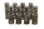 Isky Cams 3105D 1.490 Valve Springs New. Price: $236.68.