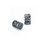 Supertech Dual Valve Spring Kit Fits Nissan RB26DET 24V New. Price: $628.77.
