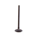 Dnj EV3138 Exhaust Valve Fits 2004-2006 Chevrolet Colorado 04-06 Gmc Canyon New. Price: $32.99.