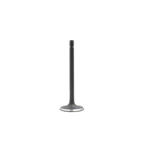 Dnj IV4104 Intake Valve Fits 1986-1995 Ford Mustang 86-93 Thunderbird New. Price: $32.99.