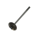 Genuine Oem Mopar For Chrysler Voyager 2001 2002 2003 Intake Valve Standard New. Price: $73.53.