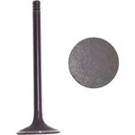 IV319 Dnj Intake Valve Suzuki Forenza Reno Saturn L300 Cadillac Cts Isuzu New. Price: $25.16.