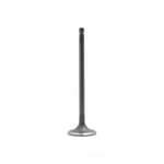 Engine Intake Valve-dohc, 16 Valves Dnj IV510 Fits 1989 Suzuki Swift 1.3L-L4 New. Price: $10.07.