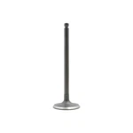 Dnj IV490 Intake Valve Fits 1991-1996 Ford Escort 91-96 Mercury Tracer New. Price: $31.99.