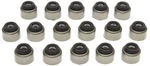 Mahle SS45937 Engine Valve Stem Oil Seal Set New. Price: $31.99.