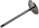 Engine Intake Valve New. Price: $25.53.