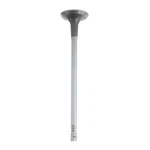 Genuine Gm Engine Exhaust Valve 12637241 New. Price: $46.01.