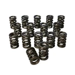 Howards Racing Components 98844 Pacaloy Dual 1.570 Valve Spring Set Cams New. Price: $541.28.