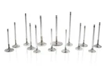 Ferrea F2459P Competition Plus Intake Valve Set For 2020-2024 Toyota Gr Corolla New. Price: $219.95.
