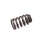 Gm Genuine Parts 12592506 Engine Valve Spring New. Price: $13.99.