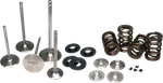 Ferrea For Acura/honda B18/B16 High Pressure Dual Spring Kit - Part KT4002 New. Price: $1041.41.