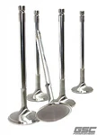 Gsc Power Division 2001-8 Chrome Polished Exhaust Valves For 4G63T Evo 1-9/DSM New. Price: $171.95.