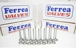 Ferrea Competition Plus Valves Std Fits Subaru Impreza Wrx Sti EJ20 EJ257 New. Price: $569.00.