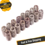 Ford Racing M-6513-M50BR Valve Spring Kit 2012-2013 Mustang Boss 302 New. Price: $86.12.