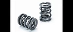 Supertech SPR-TS1015-LS Dual Valve Springs For Honda Acura B18A B18B B20 Dohc New. Price: $261.29.