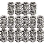 Manley 221449P-16 Polished Nextek Drag Race Valve Springs New. Price: $1112.79.