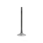 Engine Intake Valve-dohc, Code: 6VE1, 24 Valves Dnj IV353 New. Price: $13.86.