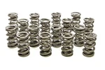 Racing Springs 1.514 Dual Valve Drag Race PAC-1332-16 New. Price: $614.00.