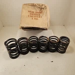 Nos Lot Of Oem Ford Edsel Mercury Valve Springs 239 V8 B8A-6513-C New. Price: $58.80.
