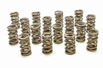 Racing PAC-1207X-16 1.304 Dual Valve Springs Rpm Series (16) New. Price: $397.96.