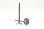 Safety Auto Parts Exhaust Valve Item #VX18-214 New. Price: $29.30.