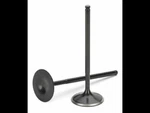 Supertech For Honda F20C1/F22C1 Black Nitrided Intake Valve - Set Of 8 New. Price: $199.98.