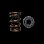 Brian Crower BC0020S Spring/steel Retainer Kit For Honda/acura B18A/B/B20B New. Price: $334.00.