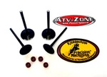 Kibblewhite Intake And Exhaust Valves Suzuki King Quad 700 750 2005-2024 New. Price: $135.18.