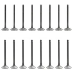 Dnj Engine 8 Intake & Exhaust Valves Kit For Honda Prelude 2.3L L4 Dohc H23A1 New. Price: $128.95.