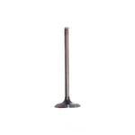 Engine Exhaust Valve-vin: T, Dohc, 16 Valves Dnj EV332 New. Price: $16.13.