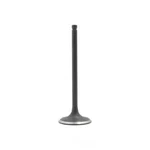 Engine Intake Valve-dohc, Code: EJ205, Turbo, 16 Valves Dnj IV718 New. Price: $10.78.
