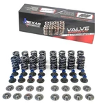 Texas Speed Tsp .660" Dual Valve Spring Kit Titanium Retainers Gen LT1 L83 L86 New. Price: $369.99.