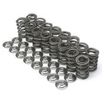 Brian Crower Dual Valve Springs Steel Retainers For Honda H22A1 H22A4 New. Price: $338.16.