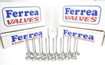 Ferrea 5000 Series Valves 1.6 Exh 2.02 Int 11/32 4.91 Sbc 283 327 350 351 Ford New. Price: $259.00.