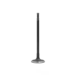 Engine Intake Valve-vin: Sohc, 16 Valves Dnj IV158 New. Price: $16.50.