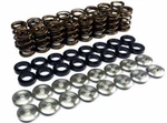 Brian Crower BC0040TS High Lift Spring Kit For Honda K20A/K20Z F20C/F22C New. Price: $402.00.