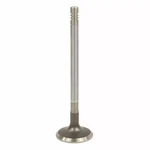 Genuine Ford Intake Valve 4S7Z-6507-A New. Price: $6.56.