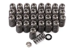 Gsc P-d Fits Ford Mustang 5.0L Coyote Gen 3 Conical Valve Spring And Ti Retainer New. Price: $782.00.