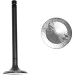 EV408 Dnj Exhaust Valve For Pickup Kia Sportage Mazda B2200 Truck B2000 626 New. Price: $26.13.