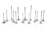 Ferrea F2431P New. Price: $362.77.