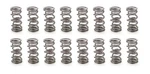 Racing Springs 1.106 Dual Valve 1300 Series (16) PAC-1312-16 New. Price: $614.68.