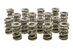 Racing Springs 1.645 Triple Valve (16) PAC-1350-16 New. Price: $576.88.