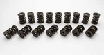 Manley Performance Products 1.500 Nextek Dual Valve Springs 221456-16 New. Price: $804.61.