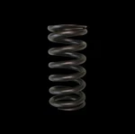 Brian Crower For Toyota 2ZZFE Single Valve Spring New. Price: $96.00.