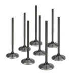 Supertech Black Nitride Intake Valves For Nissan SR20DET / NIVN-1005-8 New. Price: $187.52.