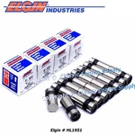 New Hydraulic Lifter Set (16) Fits Some 1955-1979 Pontiac 287-455 V8 Engines. Price: $128.62.