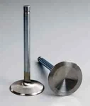 Manley 11782-8 Severe Duty Valves New. Price: $188.69.